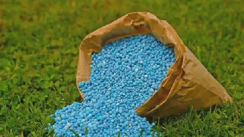 Egyptian Fertilizer Prices Fluctuate in Local Markets