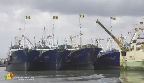 Uncovering the True Owners of Senegal's Industrial Fishing Fleet