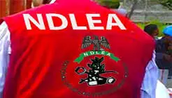NDLEA Seizes ₦2.5trn Drugs, Arrests 38,242 Suspects