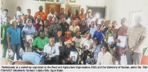 FAO and University of Ibadan Partner to Enhance Aquaculture in Nigeria