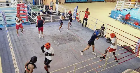 Boxe : un plan de développement stratégique à long terme