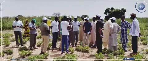 Un projet d’adaptation au changement climatique améliore les rendements agricoles de deux villages du département de Guinguinéo