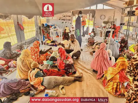 Over 500 Dengue Fever Cases Reported in North Darfur's Tawila