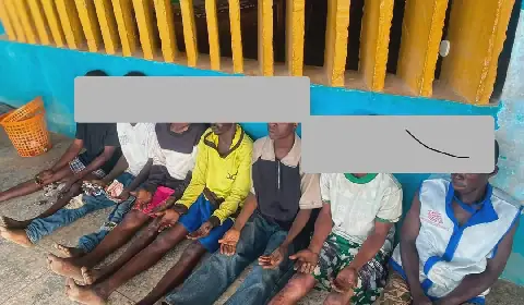 Police arrest six suspected cultists in Osun hideout raids