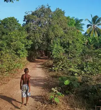 School Project Uncovers Afro-Brazilian Ancestry in Benin and Beyond