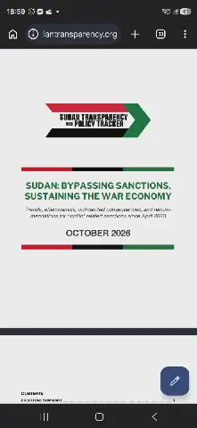 Study Urges Expansion of Sanctions on Sudan War Parties