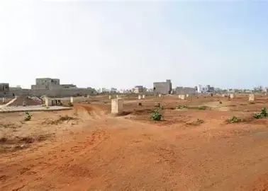 Senegal's Tivaouane Peulh Victims Demand State Action on Land Dispute