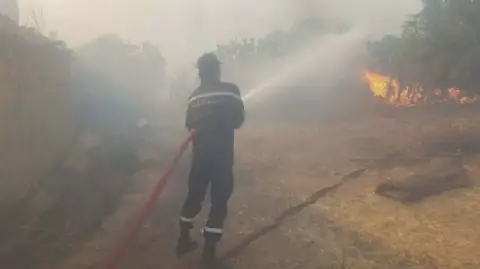 Tunisia's Jundubah Governorate Launches Forest Fire Warning and Monitoring Center