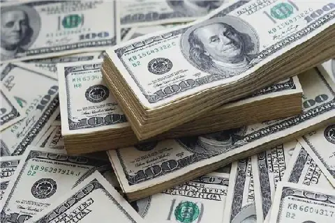 Egyptian Pound Falls Against US Dollar on October 13