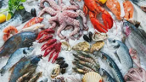 Egypt Fish Prices Fluctuate in Local Markets