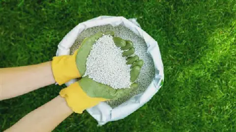 Egyptian Fertilizer Prices Fluctuate on Wednesday