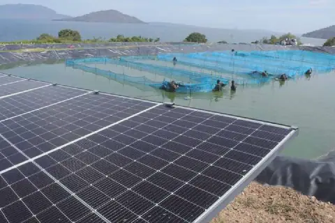 Let Africa have larger share of clean energy
