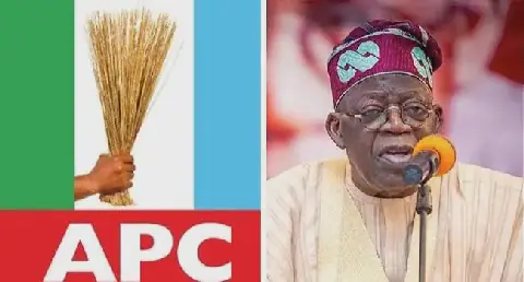 Image of Tinubu and APC: Source: Channels TV
