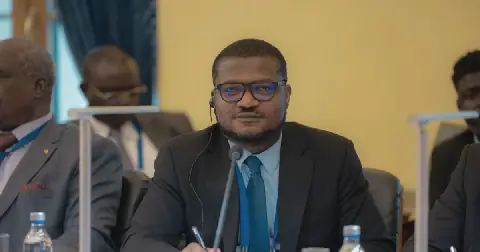 Minerals Commission CEO