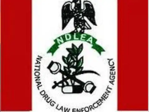 Nigeria Urges Global Cooperation to Combat Drug Cartels and Illicit Finance