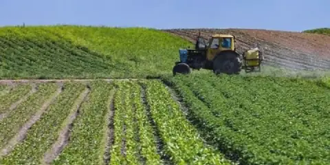 Tunisia Launches First Fully Digital Agricultural Census