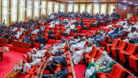 Nigerian Senate Urges Government to Address Deadly Erosion in Cross River