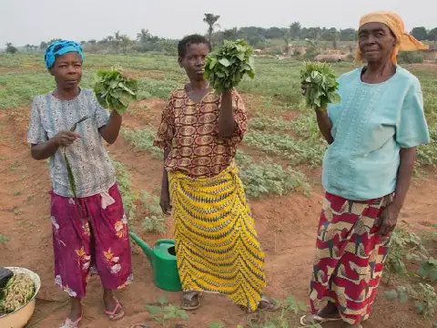 Le PAM lance le projet IGNITE RDC pour soutenir les PME agroalimentaires au Kasaï-Central