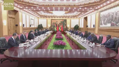 China and Togo Elevate Cooperation to a Community of Shared Future