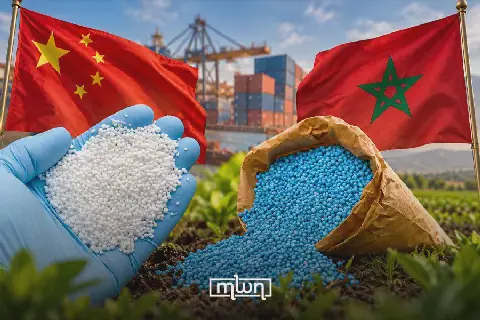 China Launches Direct Ammonia Route to Morocco with 30,000 Tons Shipment