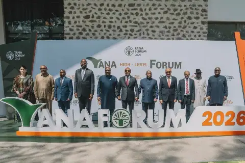 Mahama Pitches 'Accra Reset' to African Leaders at Tana Forum