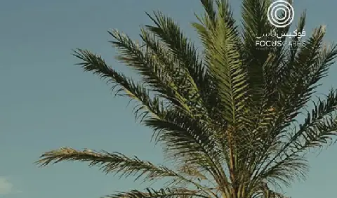 Tunisia's Gabès Hosts 4th OASIS DAYS Festival to Celebrate Oasis Heritage
