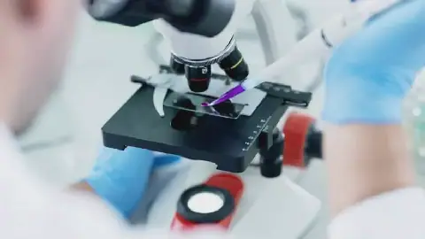 France reports first human case of Shamonda virus