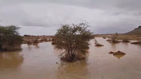 Rainfall Brings Hope to Morocco's Desert Regions