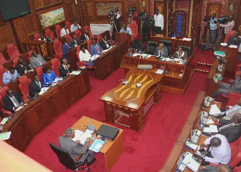 Kenya's Senate Committee Rejects AI Bill, Citing Harsh Penalties and Overregulation