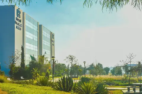 Eight UIR Professors Among the World’s Top 2% Most-Cited Scientists in 2026