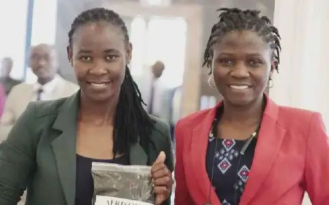 Youth-led Agribusiness Venture Thrives in Kenya's Farming Sector