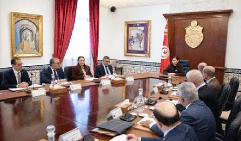 Tunisia's Olive Oil Sector Sees Record Production, Eyes New Campaign