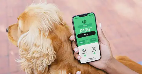 Naked Launches Affordable Pet Insurance in South Africa