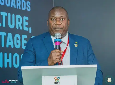 Guinea Calls for Accessible and Equitable International Financing at COP17