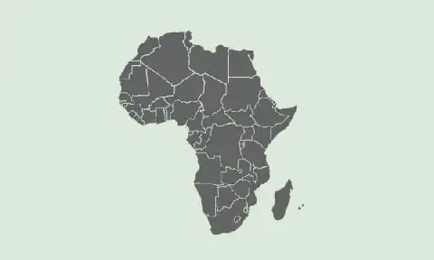 Nções Ocidentais e Organizações Internacionais Estabelecem Critérios para Investimentos em África