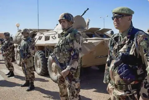 Algerian Upper House Approves Deployment of Military to Niger