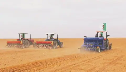 Algeria Targets 2090 Hectares for Dry Legume Cultivation in Setif
