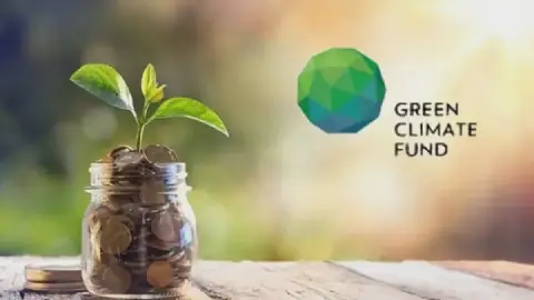 Algeria's Green Climate Fund Backs Desert Reforestation Project