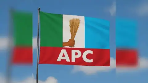 Image of APC flag. Source: TVC.