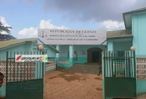 Nine Arrested in Guinea for Psychotropic Substance Trafficking
