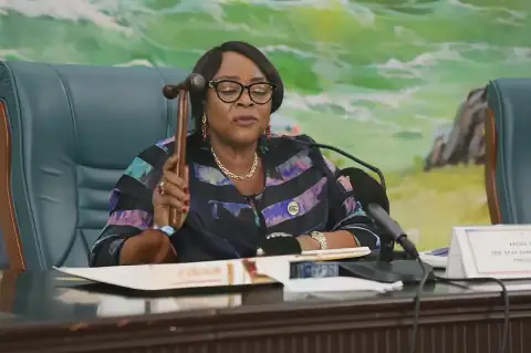 Equatorial Guinea's Senate Approves New Mining Law
