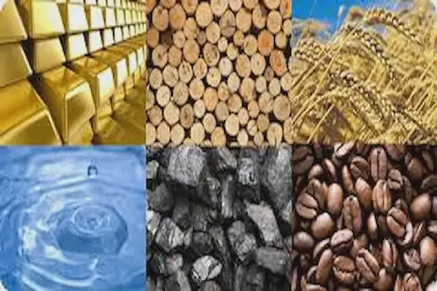 World Bank Warns of 23% Surge in Global Commodity Prices for 2026