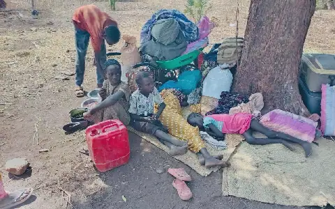 Clashes and Displacement Continue in Sudan's Blue Nile State