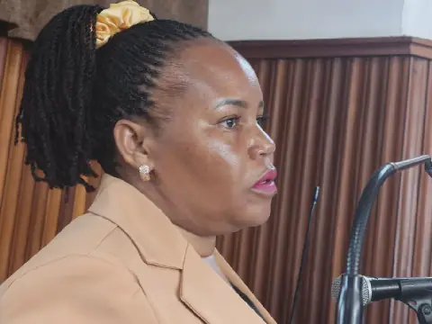 NO ROOM TO RETREAT: Nambaziira’s Academic Qualifications Under Court Scrutiny After Admitting She Never Sat PLE, UCE