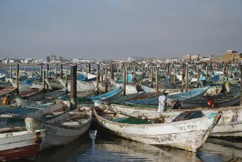 قوارب صيد تقليدية راسية في ميناء الصيد التقليدي بمدينة نواذيبو الموريتانية