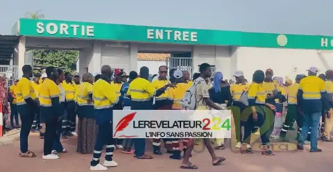 Workers of Guinea's ANTIM Launch Indefinite Strike