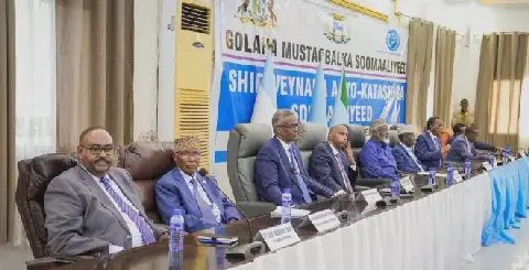Somali Future Council denies plans to form armed group amid election dispute