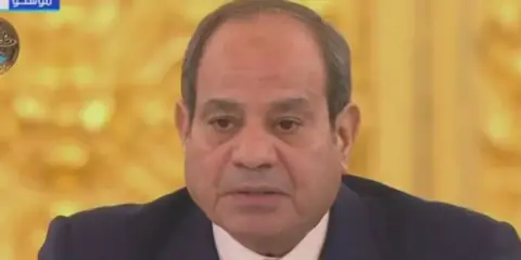 Egyptian President Expresses Concern Over Rising Tensions in African Horn