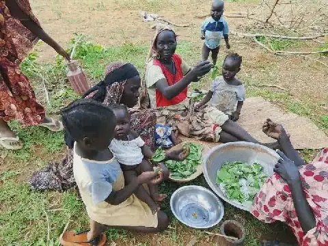 Over 119,000 Displaced in Sudan's Blue Nile State in 10 Months