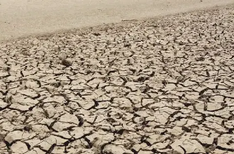 Lancet Countdown urges climate change be declared a global health emergency
